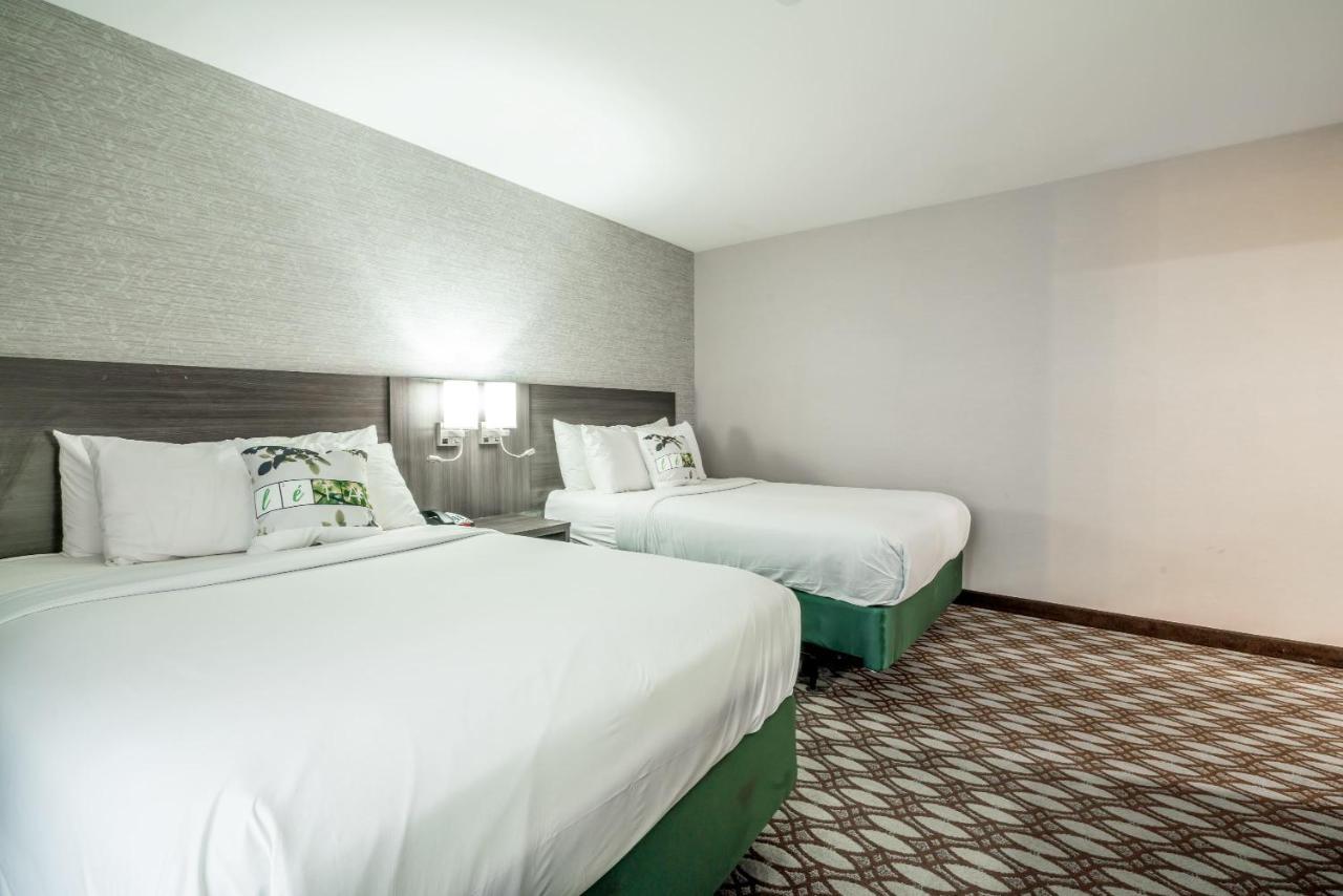 Letap Hotel Near Airtrain Jfk Airport New York Extérieur photo